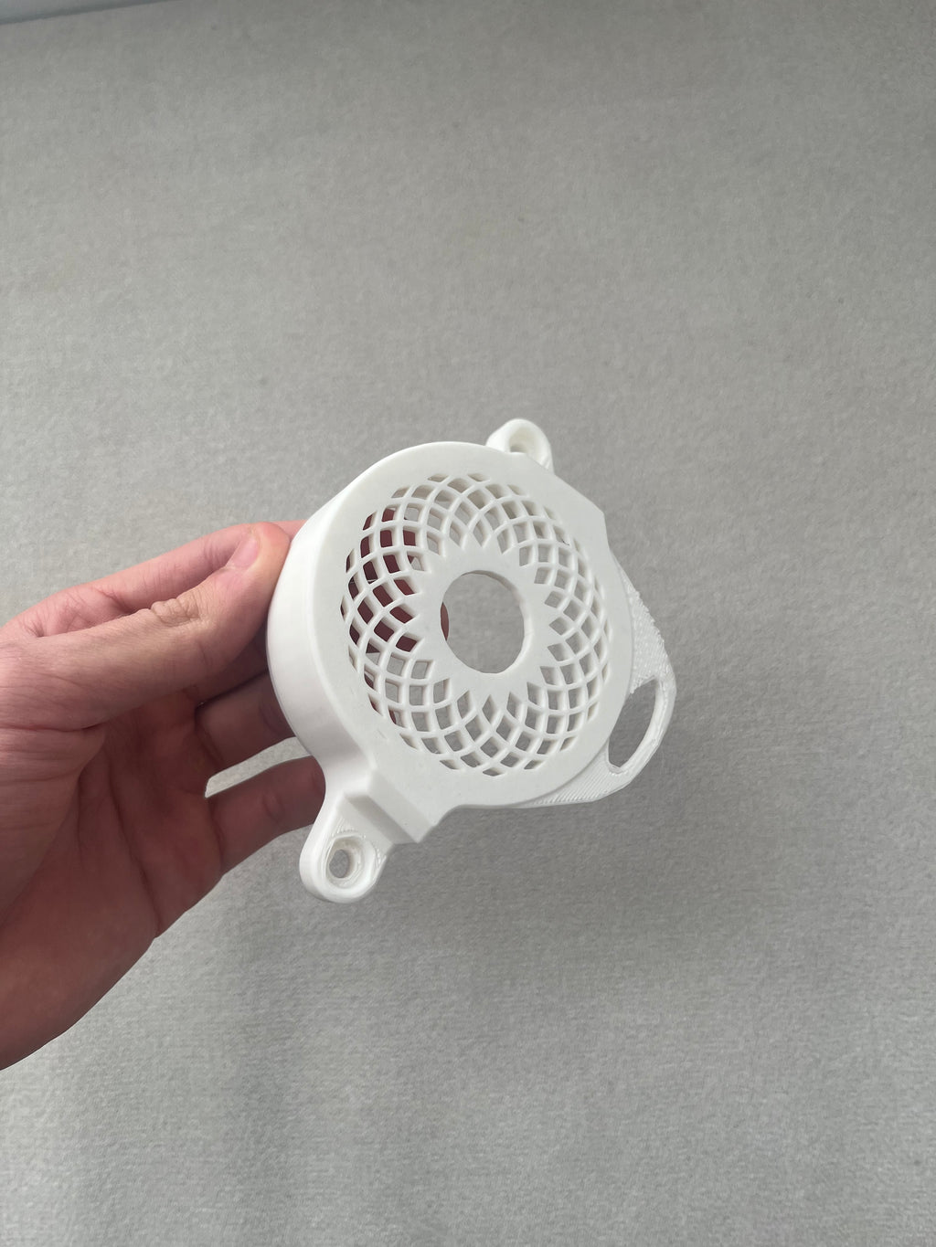 Custom Surron Light Bee Motor Cover